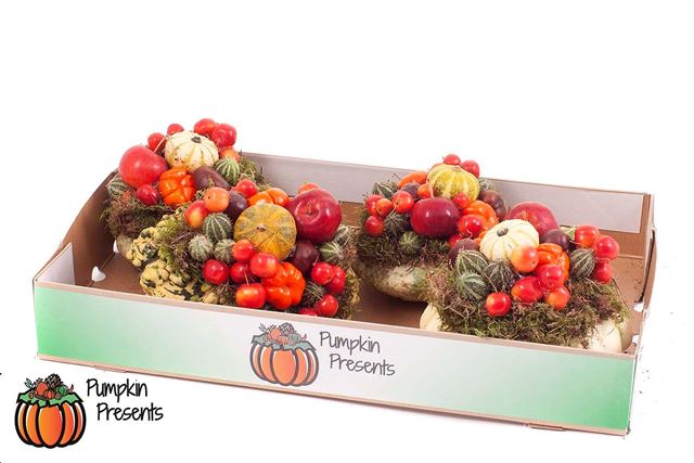 Picture of Pumpkin arrangement medium