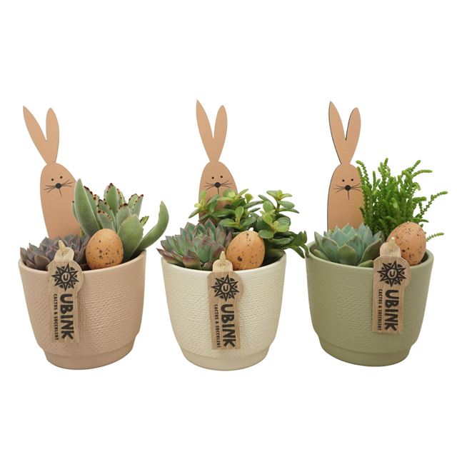 Picture of Easter arrangement 02pp in ceramic