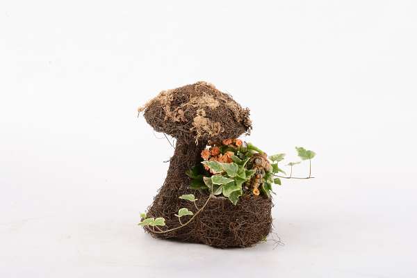 Picture of AUTUMN ARRANGEMENT 02PP