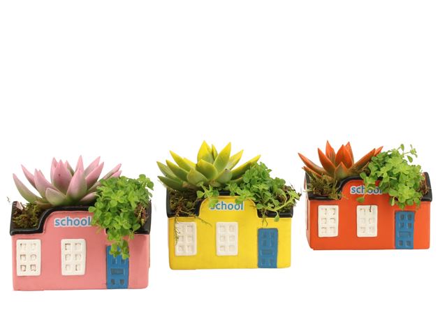 Picture of Love school arrangement in ceramic