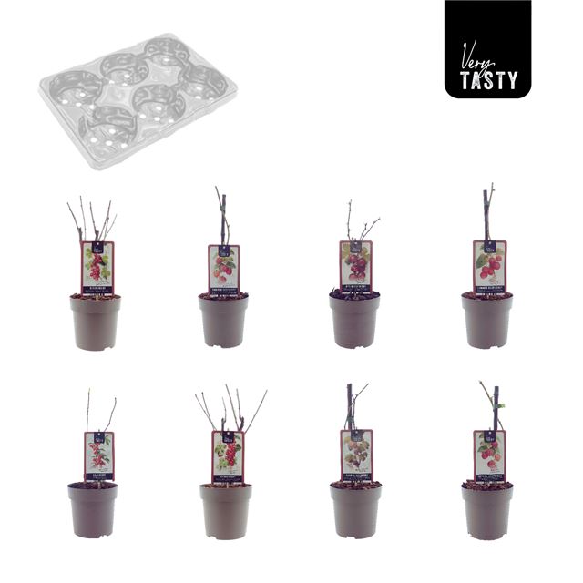 Picture of Red fruits mix