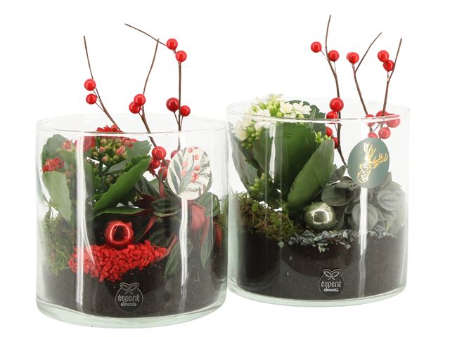 Picture of X-MAS ARRANGEMENT IN GLASS