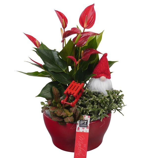 Picture of XMAS ARRANGEMENT HAPPY WINTER CERAMIC