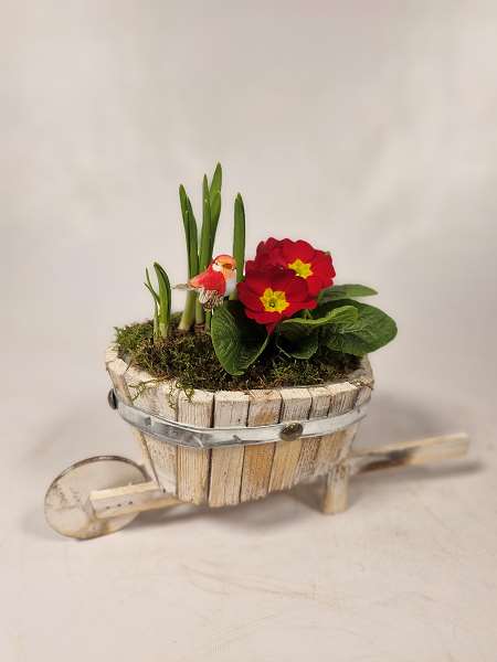 Picture of SPRING ARRANGEMENT 02PP WHEELBARROW