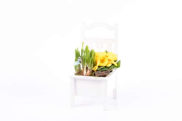 Picture of SPRING ARRANGEMENT 02PP CHAIR