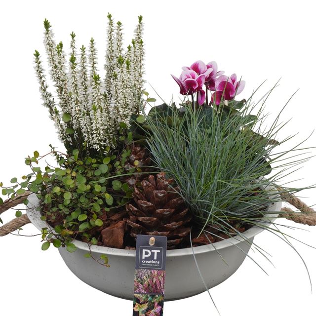Picture of AUTUMN ARRANGEMENT OUTDOOR IN ZINC