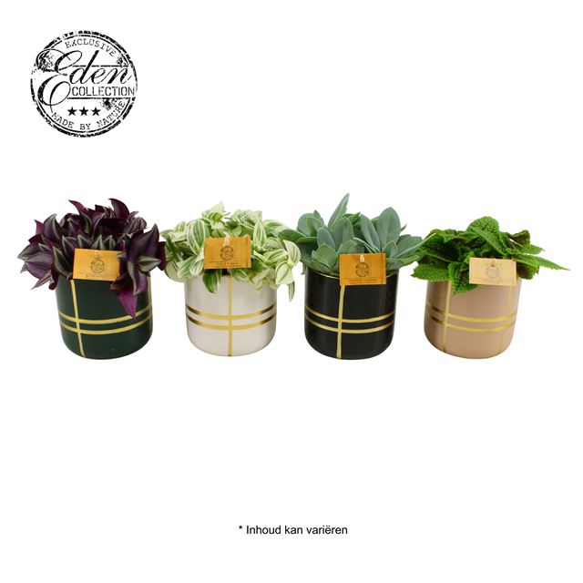 Picture of FOLIAGE MIX IN CERAMIC