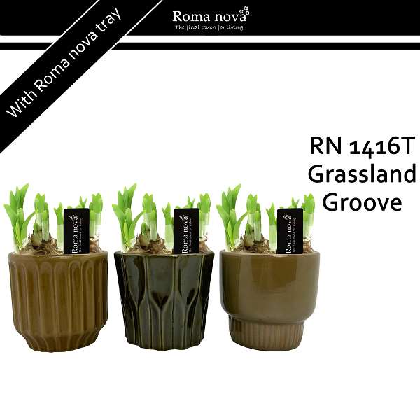 Picture of Narcissus ceramic grassland groove