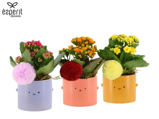 Picture of Love school arrangement in ceramic