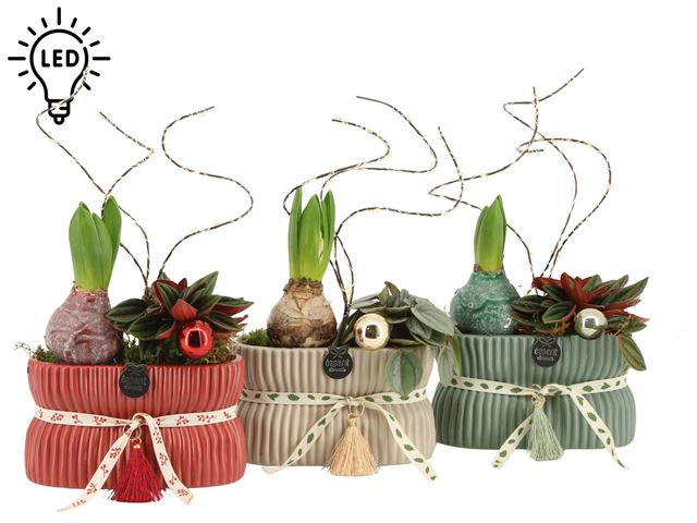 Picture of XMAS ARRANGEMENT 02PP CERAMIC