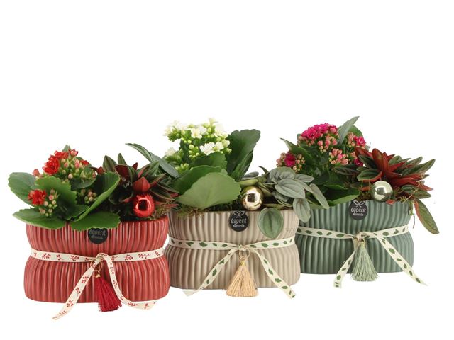 Picture of XMAS ARRANGEMENT 02PP ZINC