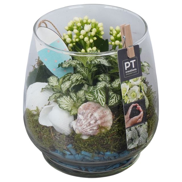 Picture of Summer arrangement 02pp in glass