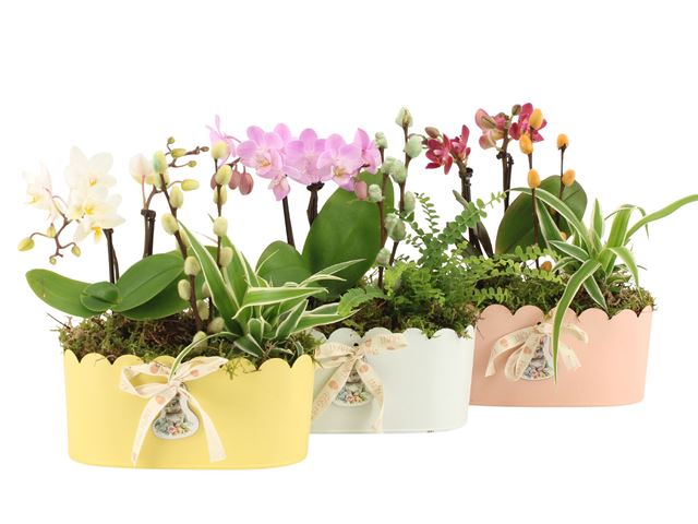 Picture of Easter arrangement