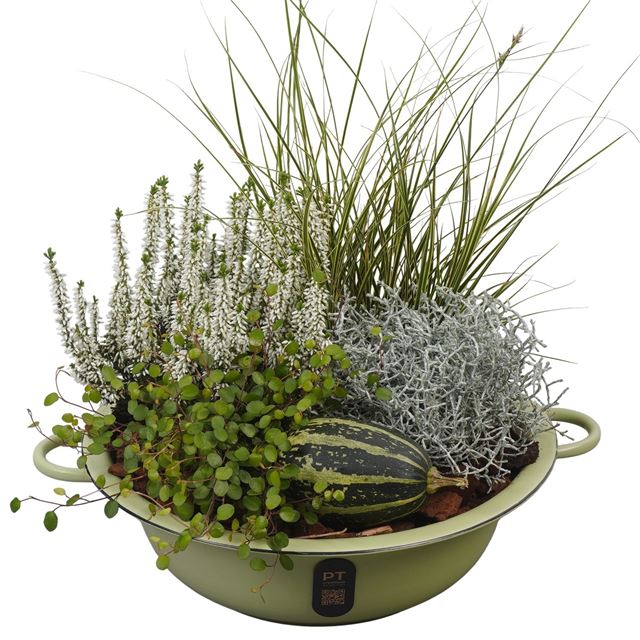 Picture of Autumn arrangement 04pp in zinc - outdoor