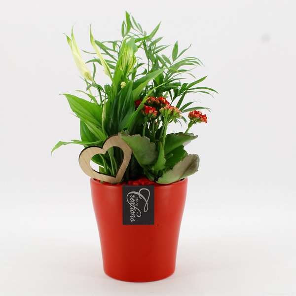 Picture of VALENTINE'S DAY ARRANGEMENT 03PP  IN RED CERAMIC