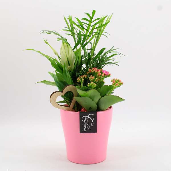 Picture of VALENTINE'S DAY ARRANGEMENT 03PP  IN PINK CERAMIC