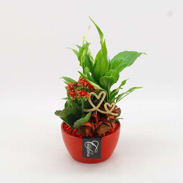 Picture of VALENTINE'S DAY ARRANGEMENT 03PP  IN RED CERAMIC