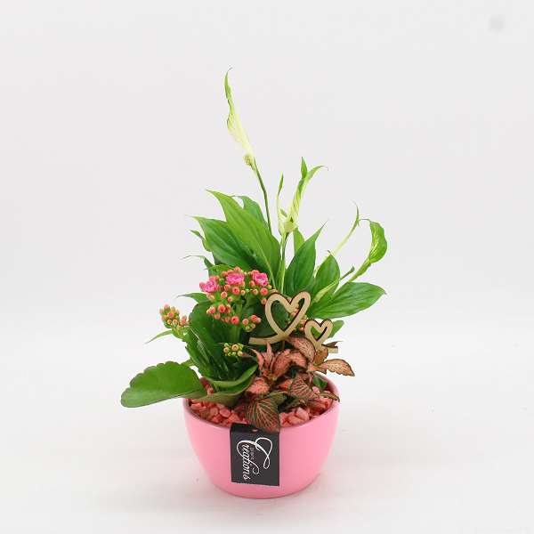 Picture of VALENTINE'S DAY ARRANGEMENT 03PP  IN PINK CERAMIC