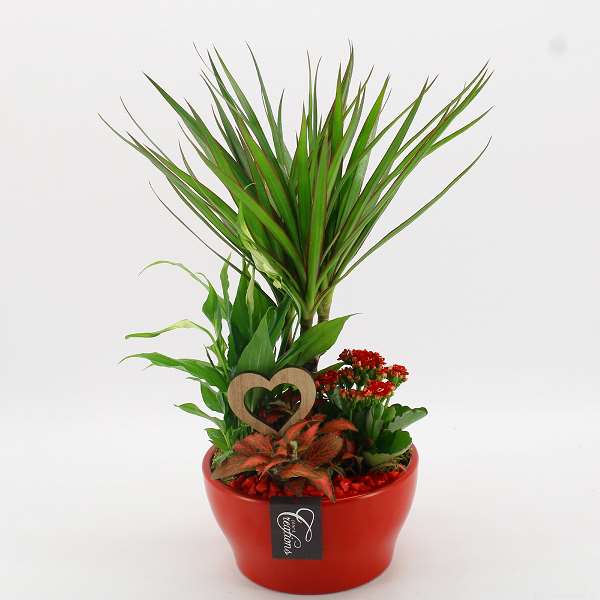 Picture of VALENTINE'S DAY ARRANGEMENT 04PP  IN RED CERAMIC