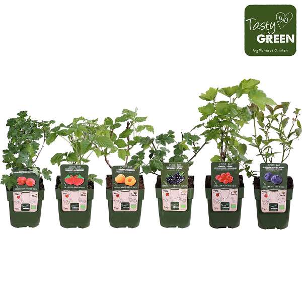 Picture of Soft fruit bio mix