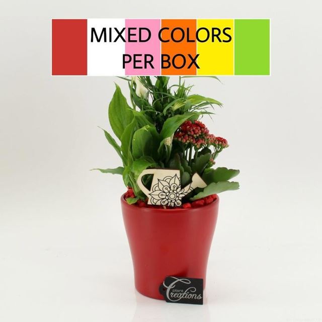 Picture of Foliage arrangement in ceramic