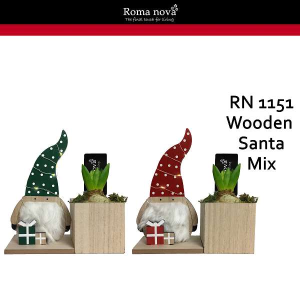 Picture of HYACINTHUS 01BULB WOODEN SANTA MIX