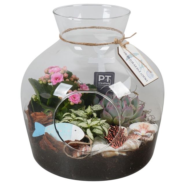 Picture of SUMMER ARRANGEMENT 03PP IN GLASS