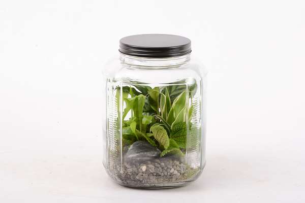 Picture of Terrarium mineral 4pl d18 h25