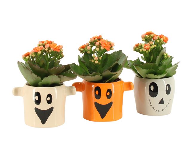 Picture of Halloween arrangement 01pp ceramic