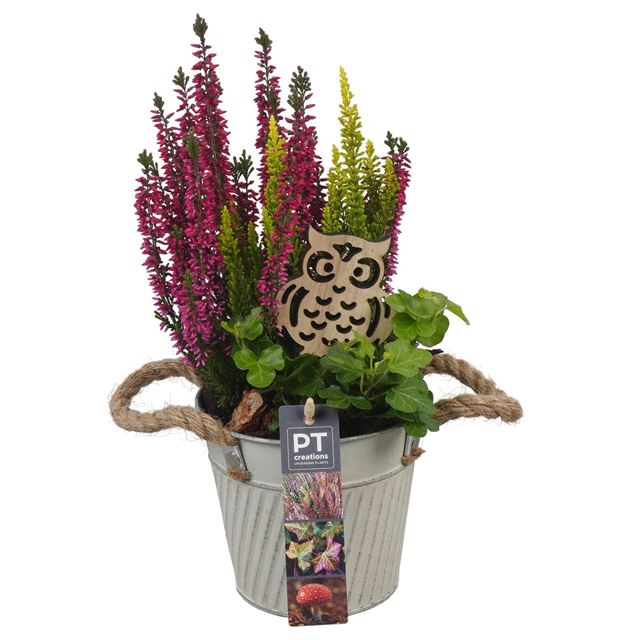 Picture of AUTUMN ARRANGEMENT OUTDOOR IN ZINC
