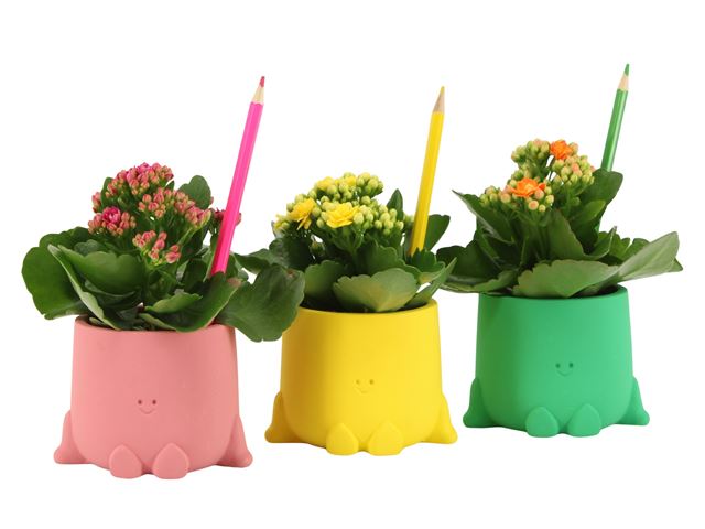 Picture of Love school arrangement in ceramic