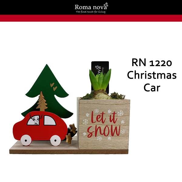 Picture of HYACINTHUS 01BULB CHRISTMAS CAR