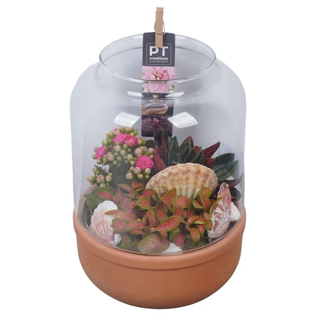 Picture of Summer arrangement 03pp in glass