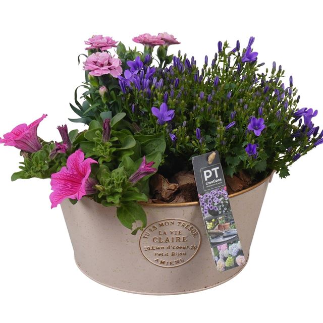 Picture of Patio arrangement 03pp in zinc