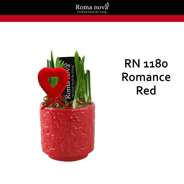 Picture of NARCISSUS ROMANCE RED