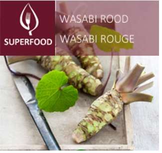 Picture of Wasabia japonica mephisto red
