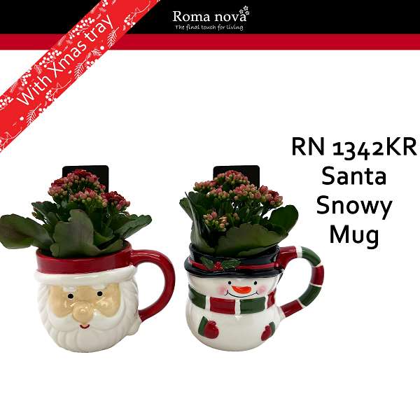 Picture of KALANCHOE BLOSSFELDIANA RED SANTA SNOWY MUG