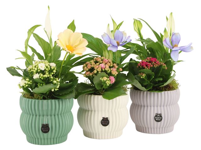 Picture of Consideration arrangement 02pp