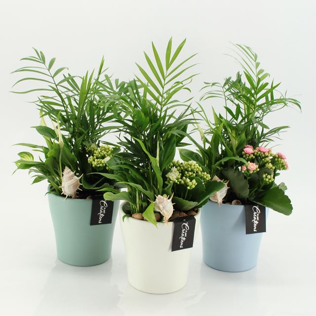 Picture of Summer arrangement 03pp in ceramic