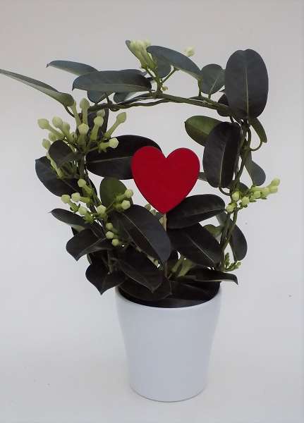 Picture of STEPHANOTIS FLORIBUNDA HOOP IN CAREMIC + HEART DEC