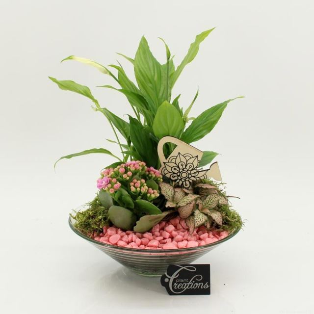 Picture of Pink arrangement in glass