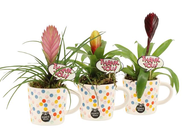 Picture of Love school arrangement in ceramic