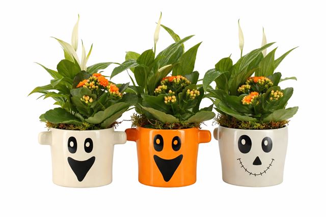 Picture of Halloween arrangement 02pp ceramic