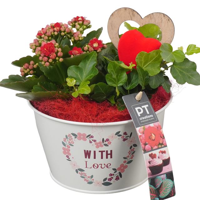 Picture of VALENTINE'S DAY ARRANGEMENT 02PP  IN METAL POT