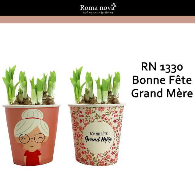 Picture of Narcissus "bonne fete grand mere"