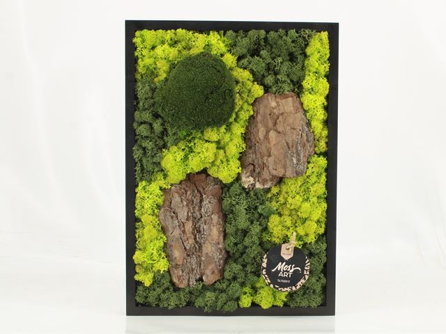 Picture of MOSS ART ARRANGEMENT RECTANGULAR