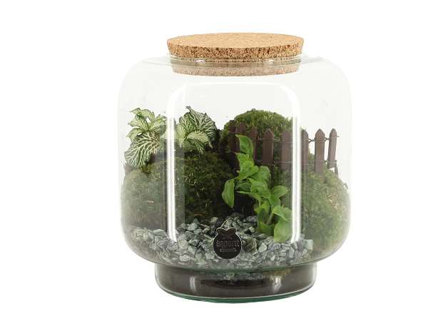 Picture of TERRARIUM LANDSCAPE