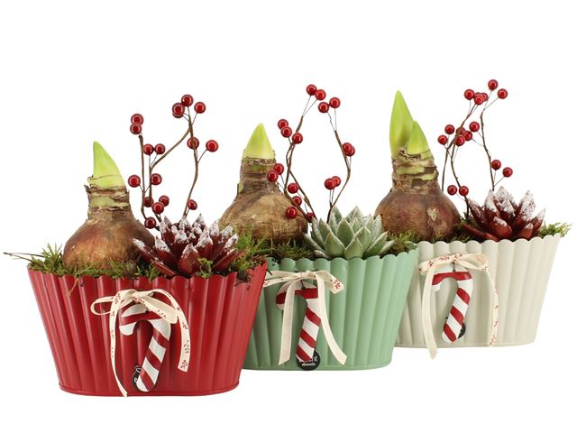 Picture of XMAS ARRANGEMENT 02PP ZINC