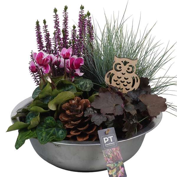 Picture of AUTUMN ARRANGEMENT OUTDOOR IN ZINC