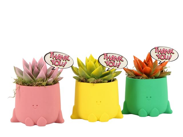 Picture of Love school arrangement in ceramic